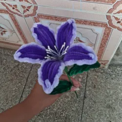 Lirio morado