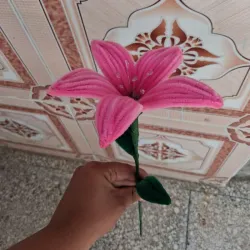 Lirio rosado