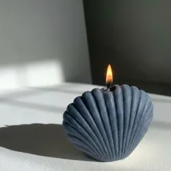 Vela concha 🐚