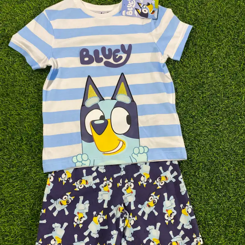 Conjunto de bluey 