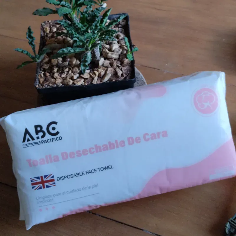 Toallas Desmaquillantes (50 pzas)
