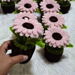 Gerberas