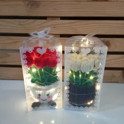 Tulipanes brillantes