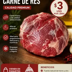 Carne de res