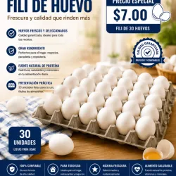 Huevo