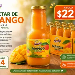Jugo de mango