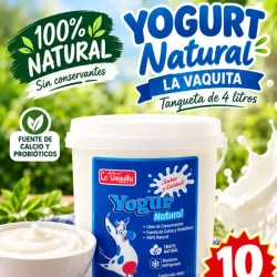 Yogurt natural