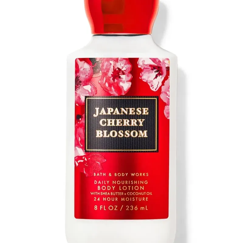 Japonese Cherry Blossom🥀❤