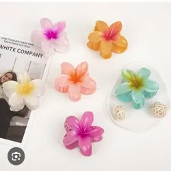 Pellizcos Hawaianos Pequeños 🌺