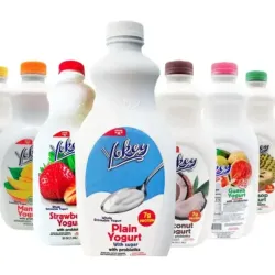 Yogurt Probiotico Yokey
