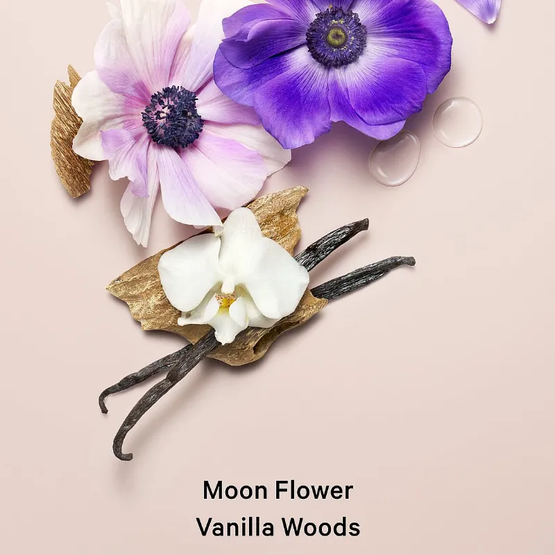 MIDNIGHT BLOOM SHIMMER