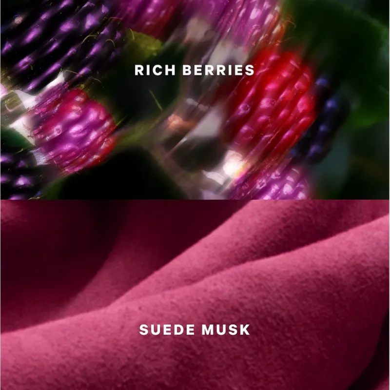 SUEDE WONDER