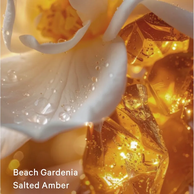 SEASHELL SHIMMER 