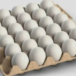 Fili de huevos