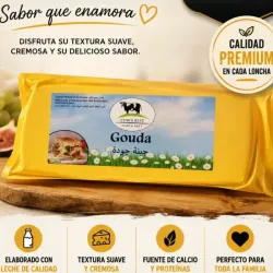 Queso Gouda