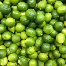 Limón criollo 