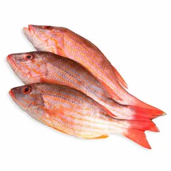 Pescado