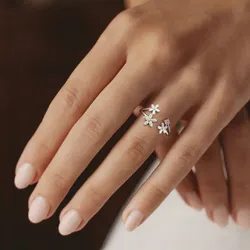 Anillo 1