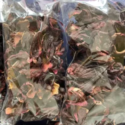 Flor de Jamaica 50g
