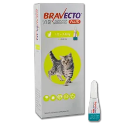 Bravecto Plus para gatos 1.2 a 1.8 Kg