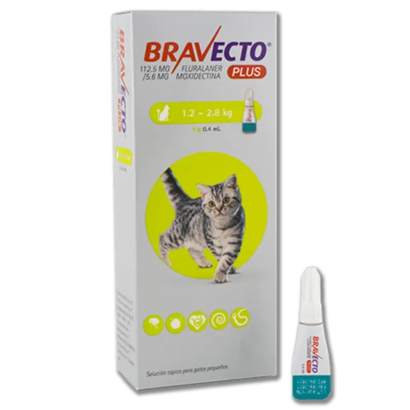 Bravecto Plus para gatos 1.2 a 1.8 Kg