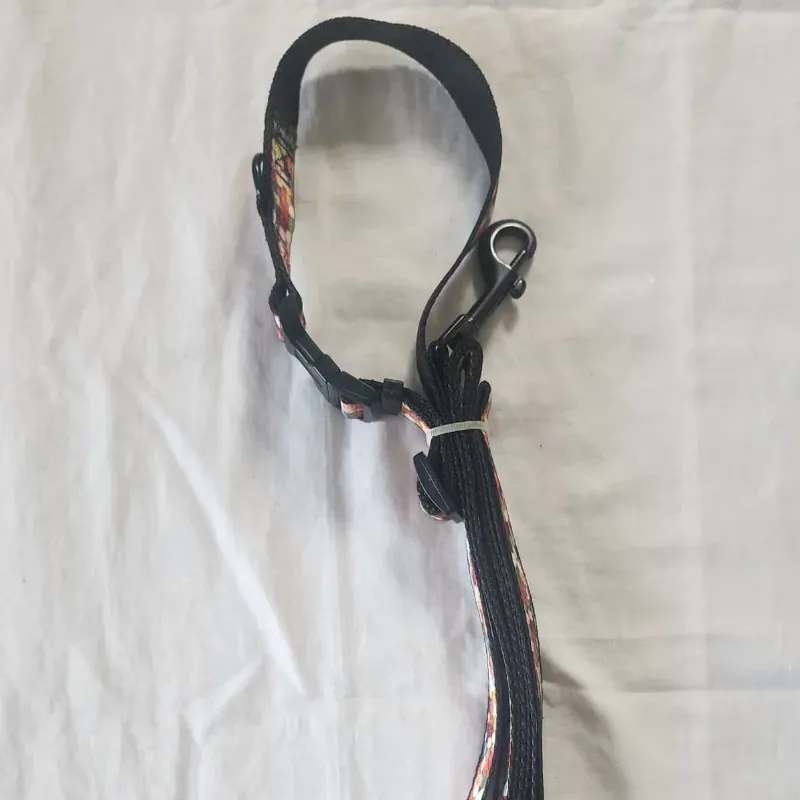 Collar con correa