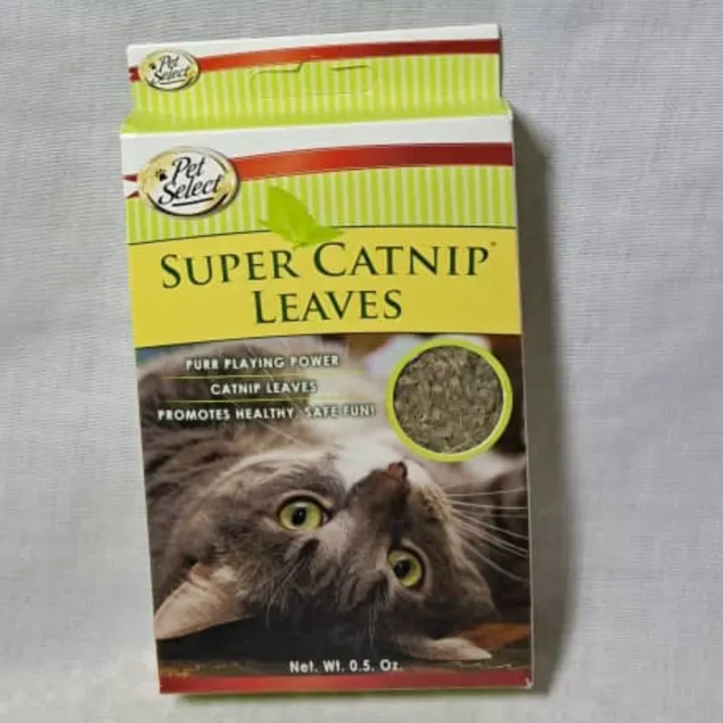 Súper Catnip o hierba gatera