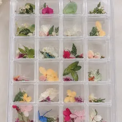 Caja de Naturaleza muerta 