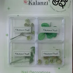 Naturaleza Muerta Kalanzi 💚