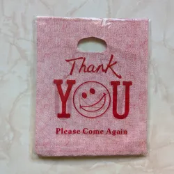 Bolsas de regalo 20 x 25.5