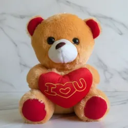 Ositos de peluche 🧸 