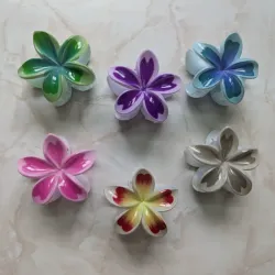 Pellizcos de flor hawaiana 