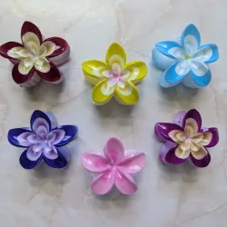 Pellizcos de flor hawaiana 