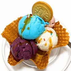 Waffle bowl 5 sabores