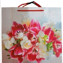 Bolsa de regalo