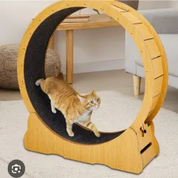 Rueda para gatos