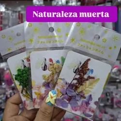 Naturaleza muerta 