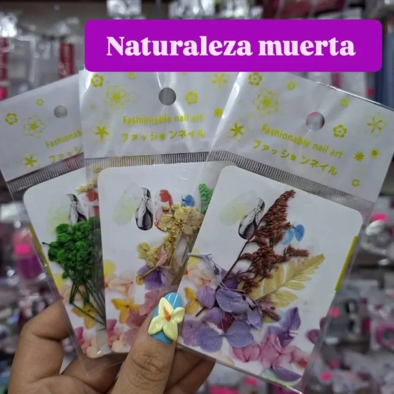 Naturaleza muerta 