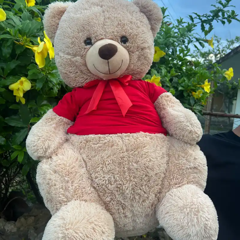 Peluche oso Plus❤️