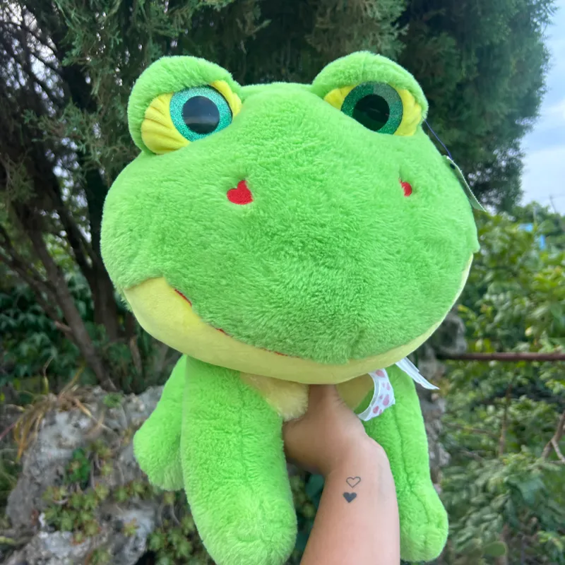 Peluche ranita 💚