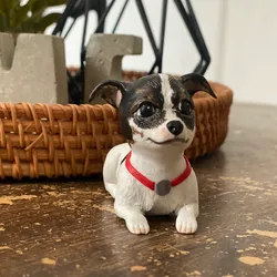 Mascota Chihuahua 🐾
