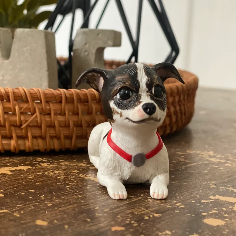 Mascota Chihuahua 🐾
