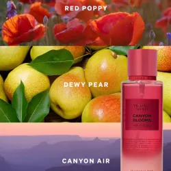 Colonia Canyon Blooms