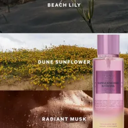 Colonia Sundrenched Blooms