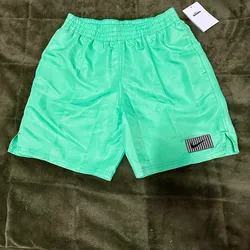 Shorts de playa Nike 
