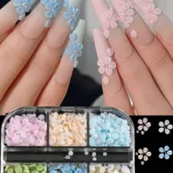 Caja de pétalos de 6 espacios