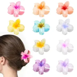 Pellizcos grandes de Flores Hawaiianas
