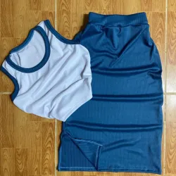 Blusa y Saya