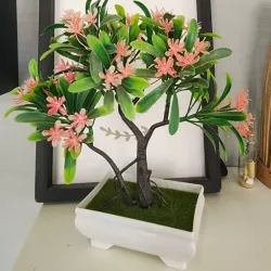 Bonsai 🌱