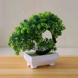 Bonsai 🌱